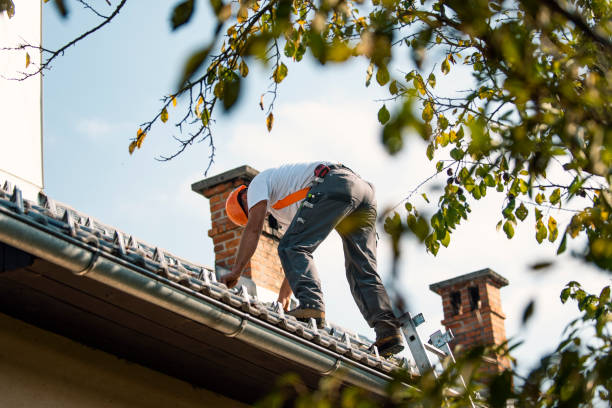 Roof Gutter Cleaning in Irwindale, CA